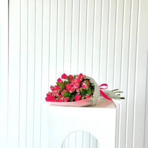 Simple fuchsia